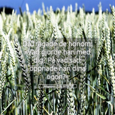 Picture 05 - Johannes 9:26 SV1917 - Då frågade de honom: »Vad gjorde han med dig? - Bible Verse Picture