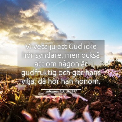 Picture 05 - Johannes 9:31 SV1917 - Vi veta ju att Gud icke hör syndare, men också - Bible Verse Picture