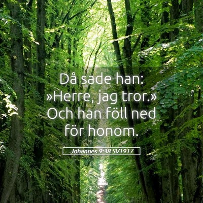 Picture 05 - Johannes 9:38 SV1917 - Då sade han: »Herre, jag tror.» Och han föll - Bible Verse Picture