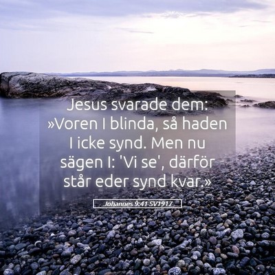 Picture 05 - Johannes 9:41 SV1917 - Jesus svarade dem: »Voren I blinda, så haden I - Bible Verse Picture