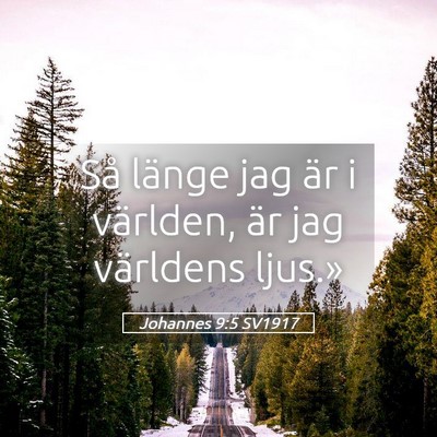 Picture 05 - Johannes 9:5 SV1917 - Så länge jag är i världen, är jag världens - Bible Verse Picture