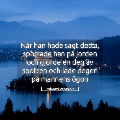 Picture 05 - Johannes 9:6 SV1917 - När han hade sagt detta, spottade han på jorden - Bible Verse Picture
