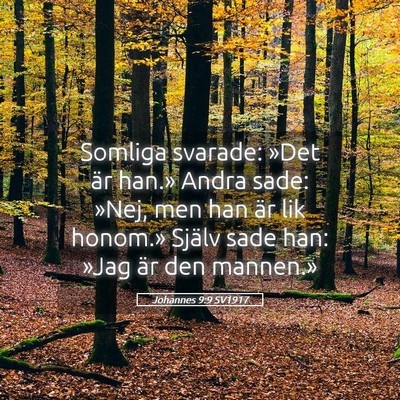Picture 05 - Johannes 9:9 SV1917 - Somliga svarade: »Det är han.» Andra sade: - Bible Verse Picture