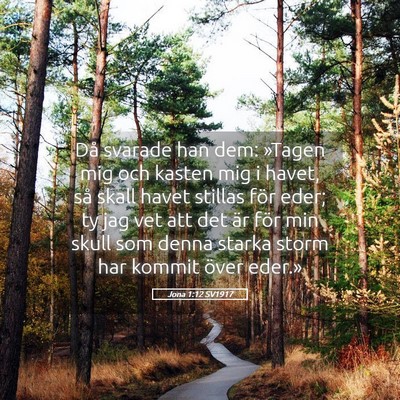 Picture 05 - Jona 1:12 SV1917 - Då svarade han dem: »Tagen mig och kasten mig i - Bible Verse Picture