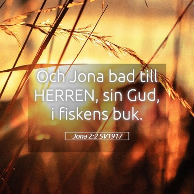 Picture 05 - Jona 2:2 SV1917 - Och Jona bad till HERREN, sin Gud, i fiskens - Bible Verse Picture