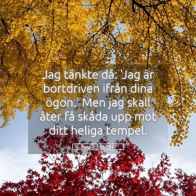 Picture 05 - Jona 2:5 SV1917 - Jag tänkte då: 'Jag är bortdriven ifrån dina - Bible Verse Picture