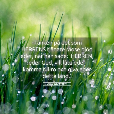 Picture 05 - Josua 1:13 SV1917 - »Tänken på det som HERRENS tjänare Mose bjöd - Bible Verse Picture
