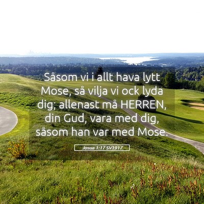 Picture 05 - Josua 1:17 SV1917 - Såsom vi i allt hava lytt Mose, så vilja vi ock - Bible Verse Picture