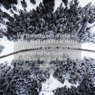 Picture 05 - Josua 1:6 SV1917 - Var frimodig och oförfärad; ty du skall - Bible Verse Picture