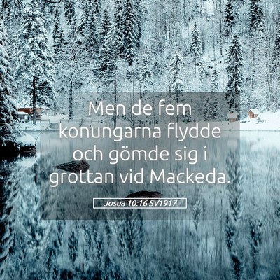 Picture 05 - Josua 10:16 SV1917 - Men de fem konungarna flydde och gömde sig i - Bible Verse Picture