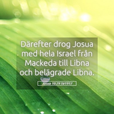 Picture 05 - Josua 10:29 SV1917 - Därefter drog Josua med hela Israel från - Bible Verse Picture