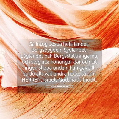Picture 05 - Josua 10:40 SV1917 - Så intog Josua hela landet, Bergsbygden, - Bible Verse Picture