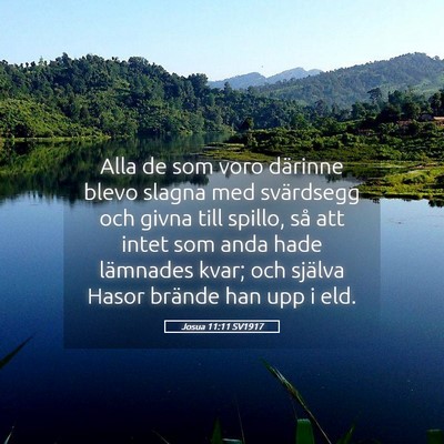 Picture 05 - Josua 11:11 SV1917 - Alla de som voro därinne blevo slagna med - Bible Verse Picture