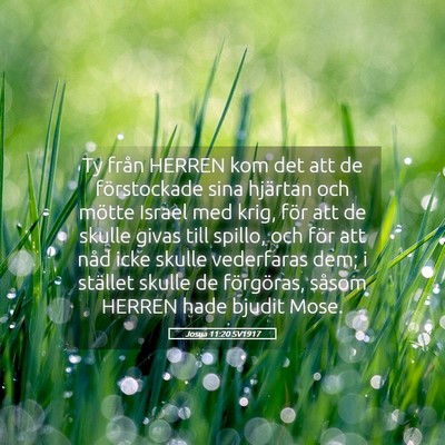 Picture 05 - Josua 11:20 SV1917 - Ty från HERREN kom det att de förstockade sina - Bible Verse Picture