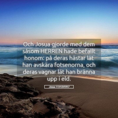 Picture 05 - Josua 11:9 SV1917 - Och Josua gjorde med dem såsom HERREN hade - Bible Verse Picture