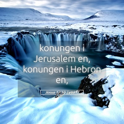 Picture 05 - Josua 12:10 SV1917 - konungen i Jerusalem en, konungen i Hebron - Bible Verse Picture