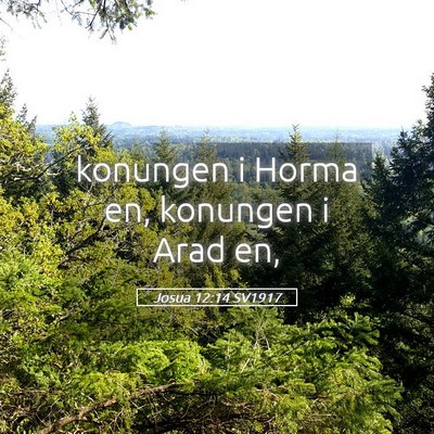 Picture 05 - Josua 12:14 SV1917 - konungen i Horma en, konungen i Arad - Bible Verse Picture
