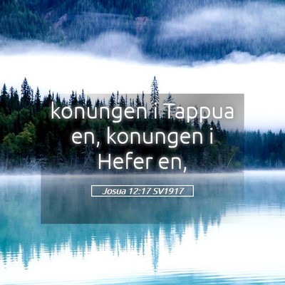 Picture 05 - Josua 12:17 SV1917 - konungen i Tappua en, konungen i Hefer - Bible Verse Picture