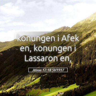 Picture 05 - Josua 12:18 SV1917 - konungen i Afek en, konungen i Lassaron - Bible Verse Picture