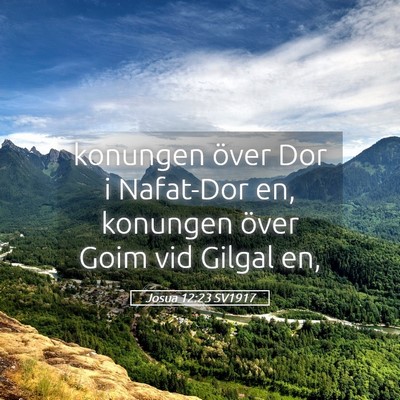 Picture 05 - Josua 12:23 SV1917 - konungen över Dor i Nafat-Dor en, konungen över - Bible Verse Picture