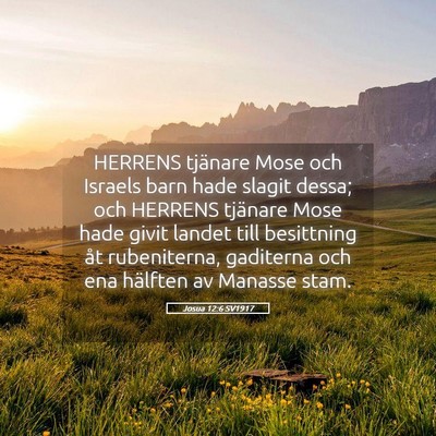 Picture 05 - Josua 12:6 SV1917 - HERRENS tjänare Mose och Israels barn hade - Bible Verse Picture