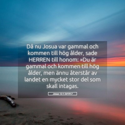 Picture 05 - Josua 13:1 SV1917 - Då nu Josua var gammal och kommen till hög - Bible Verse Picture