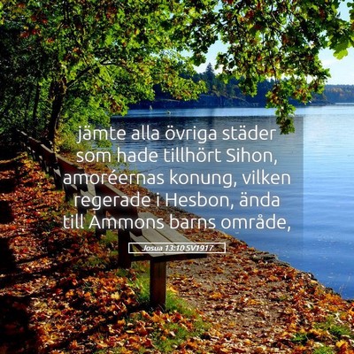 Picture 05 - Josua 13:10 SV1917 - jämte alla övriga städer som hade tillhört - Bible Verse Picture