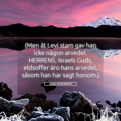Picture 05 - Josua 13:14 SV1917 - (Men åt Levi stam gav han icke någon arvedel. - Bible Verse Picture