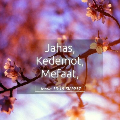 Picture 05 - Josua 13:18 SV1917 - Jahas, Kedemot, - Bible Verse Picture