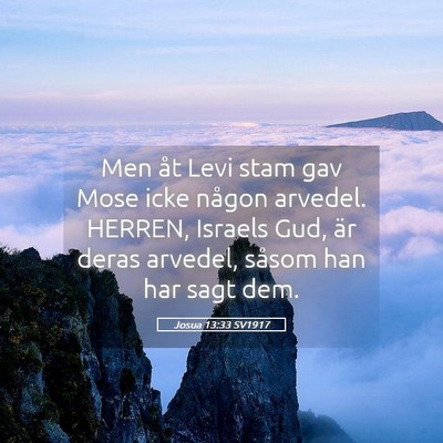 Picture 05 - Josua 13:33 SV1917 - Men åt Levi stam gav Mose icke någon arvedel. - Bible Verse Picture