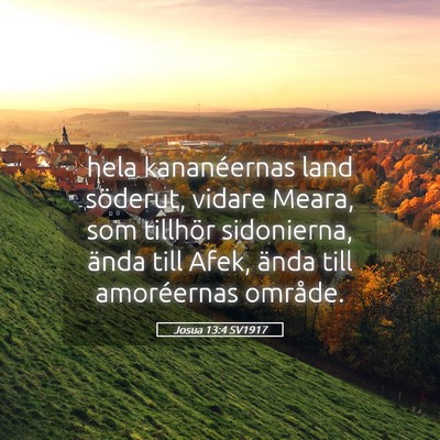 Picture 05 - Josua 13:4 SV1917 - hela kananéernas land söderut, vidare Meara, - Bible Verse Picture