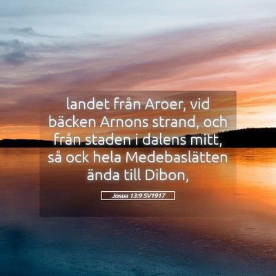 Picture 05 - Josua 13:9 SV1917 - landet från Aroer, vid bäcken Arnons strand, - Bible Verse Picture