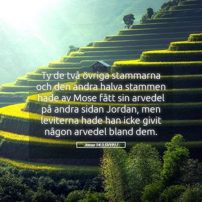 Picture 05 - Josua 14:3 SV1917 - Ty de två övriga stammarna och den andra halva - Bible Verse Picture