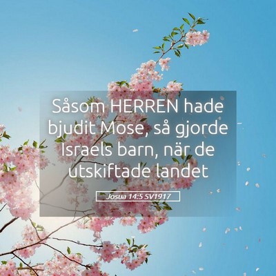 Picture 05 - Josua 14:5 SV1917 - Såsom HERREN hade bjudit Mose, så gjorde - Bible Verse Picture