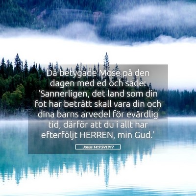 Picture 05 - Josua 14:9 SV1917 - Då betygade Mose på den dagen med ed och sade: - Bible Verse Picture