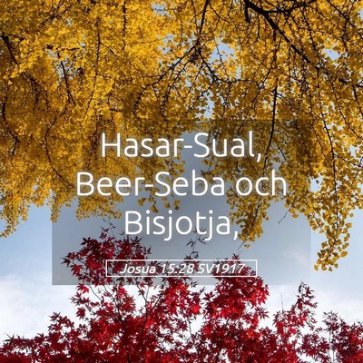 Picture 05 - Josua 15:28 SV1917 - Hasar-Sual, Beer-Seba och - Bible Verse Picture