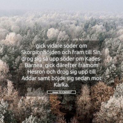 Picture 05 - Josua 15:3 SV1917 - gick vidare söder om Skorpionhöjden och fram - Bible Verse Picture