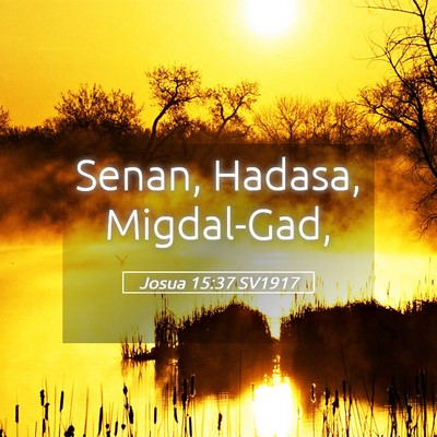 Picture 05 - Josua 15:37 SV1917 - Senan, Hadasa, - Bible Verse Picture