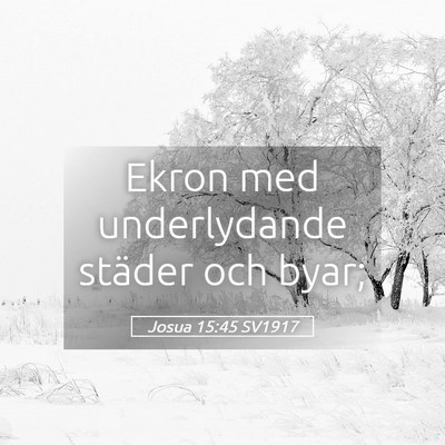 Picture 05 - Josua 15:45 SV1917 - Ekron med underlydande städer och - Bible Verse Picture