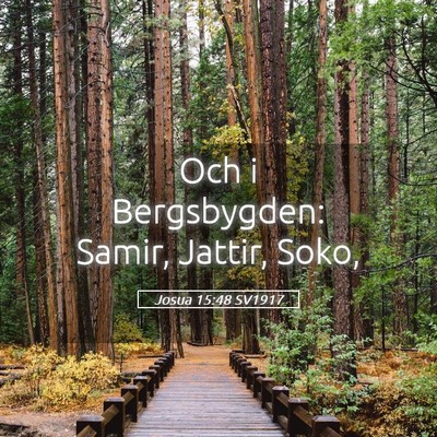 Picture 05 - Josua 15:48 SV1917 - Och i Bergsbygden: Samir, Jattir, - Bible Verse Picture