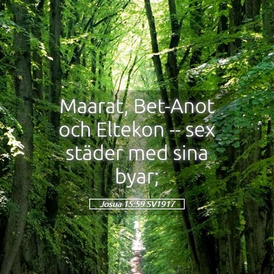 Picture 05 - Josua 15:59 SV1917 - Maarat, Bet-Anot och Eltekon -- sex städer med - Bible Verse Picture