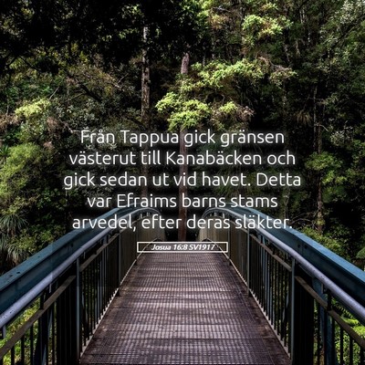 Picture 05 - Josua 16:8 SV1917 - Från Tappua gick gränsen västerut till - Bible Verse Picture