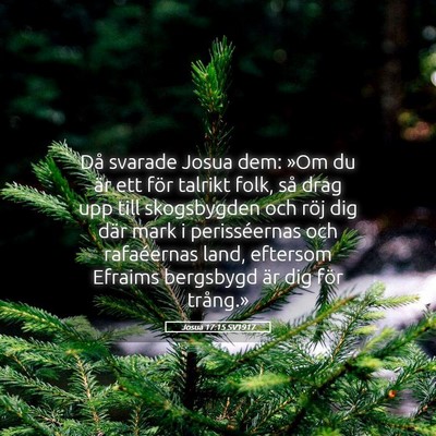 Picture 05 - Josua 17:15 SV1917 - Då svarade Josua dem: »Om du är ett för - Bible Verse Picture