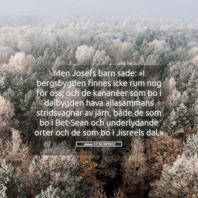 Picture 05 - Josua 17:16 SV1917 - Men Josefs barn sade: »I bergsbygden finnes icke - Bible Verse Picture