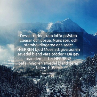 Picture 05 - Josua 17:4 SV1917 - Dessa trädde fram inför prästen Eleasar och - Bible Verse Picture