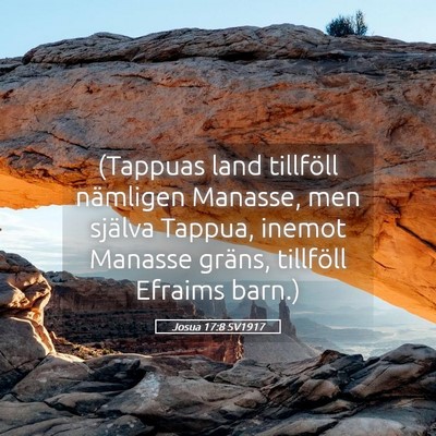 Picture 05 - Josua 17:8 SV1917 - (Tappuas land tillföll nämligen Manasse, men - Bible Verse Picture