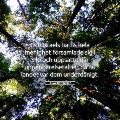 Picture 05 - Josua 18:1 SV1917 - Och Israels barns hela menighet församlade sig i - Bible Verse Picture