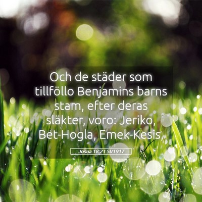 Picture 05 - Josua 18:21 SV1917 - Och de städer som tillföllo Benjamins barns - Bible Verse Picture