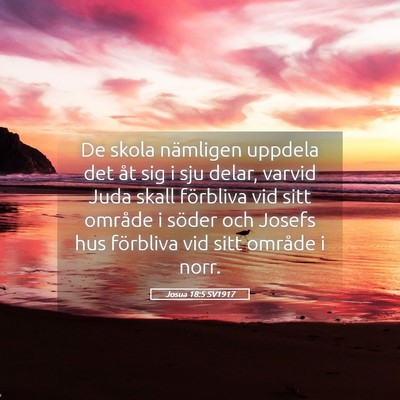 Picture 05 - Josua 18:5 SV1917 - De skola nämligen uppdela det åt sig i sju - Bible Verse Picture