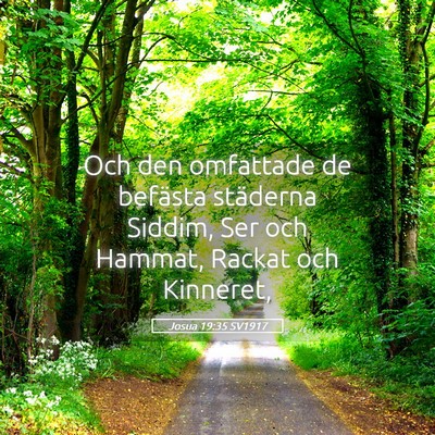 Picture 05 - Josua 19:35 SV1917 - Och den omfattade de befästa städerna Siddim, - Bible Verse Picture